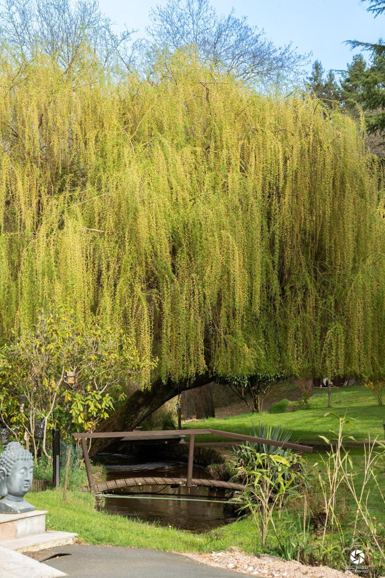 Le Moulin De La Vernoelle Premilhat Εξωτερικό φωτογραφία